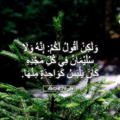 Picture 05 - مَتَّى 6:29 AVD - وَلَكِنْ أَقُولُ لَكُمْ: - Bible Verse Picture