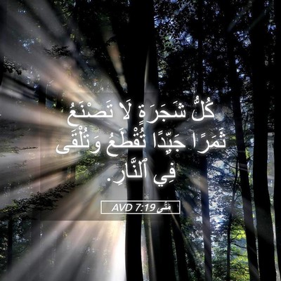 Picture 05 - مَتَّى 7:19 AVD - كُلُّ شَجَرَةٍ لَا - Bible Verse Picture