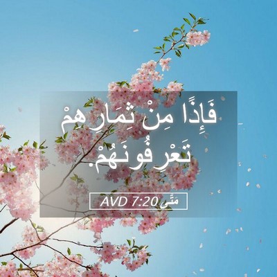 Picture 05 - مَتَّى 7:20 AVD - فَإِذًا مِنْ ثِمَارِهِمْ - Bible Verse Picture
