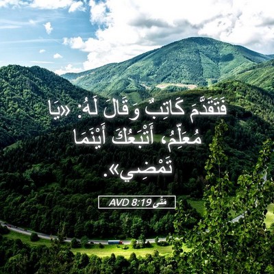 Picture 05 - مَتَّى 8:19 AVD - فَتَقَدَّمَ كَاتِبٌ - Bible Verse Picture