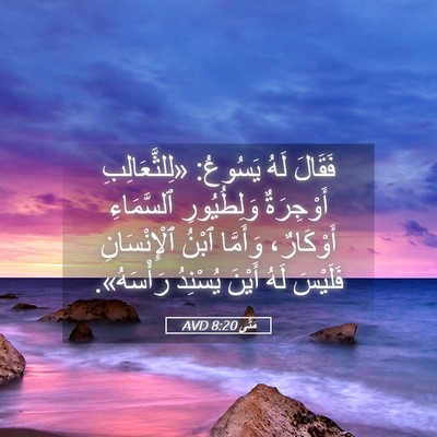 Picture 05 - مَتَّى 8:20 AVD - فَقَالَ لَهُ يَسُوعُ: - Bible Verse Picture