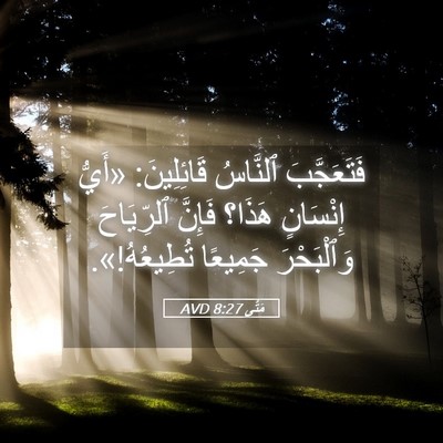 Picture 05 - مَتَّى 8:27 AVD - فَتَعَجَّبَ ٱلنَّاسُ - Bible Verse Picture