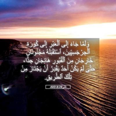 Picture 05 - مَتَّى 8:28 AVD - وَلَمَّا جَاءَ إِلَى - Bible Verse Picture