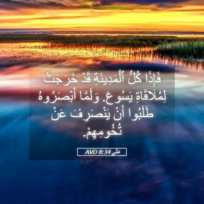 Picture 05 - مَتَّى 8:34 AVD - فَإِذَا كُلُّ - Bible Verse Picture