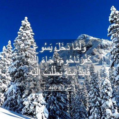 Picture 05 - مَتَّى 8:5 AVD - وَلَمَّا دَخَلَ يَسُوعُ - Bible Verse Picture