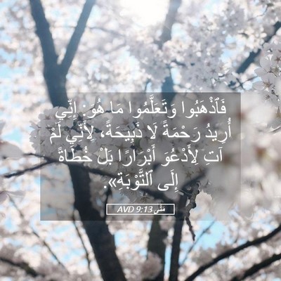 Picture 05 - مَتَّى 9:13 AVD - فَٱذْهَبُوا وَتَعَلَّمُوا - Bible Verse Picture