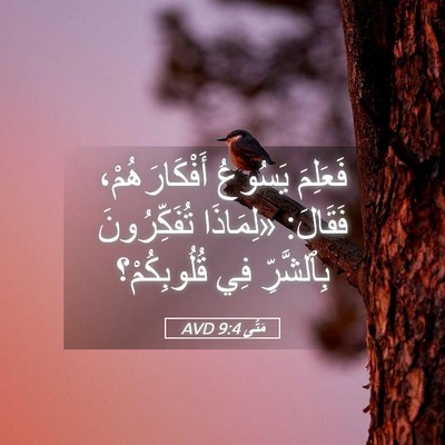 Picture 05 - مَتَّى 9:4 AVD - فَعَلِمَ يَسُوعُ - Bible Verse Picture