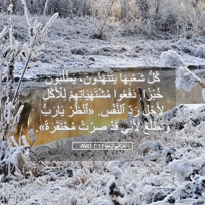 Picture 05 - مَرَاثِي إِرْمِيَا 1:11 AVD - كُلُّ شَعْبِهَا - Bible Verse Picture
