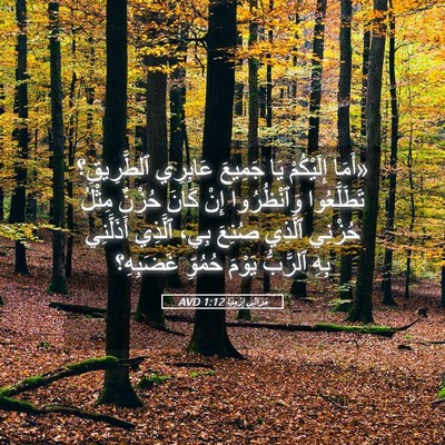Picture 05 - مَرَاثِي إِرْمِيَا 1:12 AVD - «أَمَا إِلَيْكُمْ يَا - Bible Verse Picture