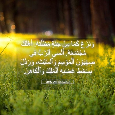 Picture 05 - مَرَاثِي إِرْمِيَا 2:6 AVD - وَنَزَعَ كَمَا مِنْ - Bible Verse Picture