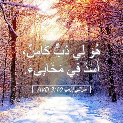Picture 05 - مَرَاثِي إِرْمِيَا 3:10 AVD - هُوَ لِي دُبٌّ كَامِنٌ، - Bible Verse Picture