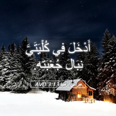 Picture 05 - مَرَاثِي إِرْمِيَا 3:13 AVD - أَدْخَلَ فِي كُلْيَتَيَّ - Bible Verse Picture