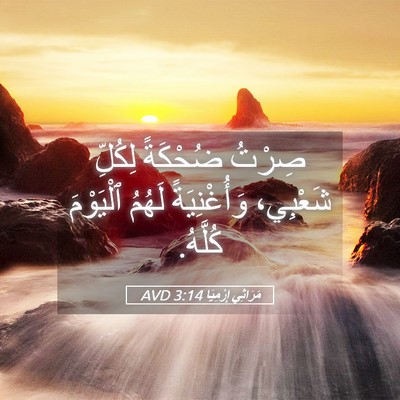 Picture 05 - مَرَاثِي إِرْمِيَا 3:14 AVD - صِرْتُ ضُحْكَةً لِكُلِّ - Bible Verse Picture