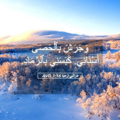 Picture 05 - مَرَاثِي إِرْمِيَا 3:16 AVD - وَجَرَشَ بِٱلْحَصَى - Bible Verse Picture