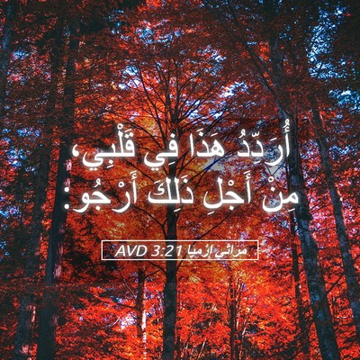 Picture 05 - مَرَاثِي إِرْمِيَا 3:21 AVD - أُرَدِّدُ هَذَا فِي - Bible Verse Picture