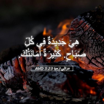 Picture 05 - مَرَاثِي إِرْمِيَا 3:23 AVD - هِيَ جَدِيدَةٌ فِي كُلِّ - Bible Verse Picture