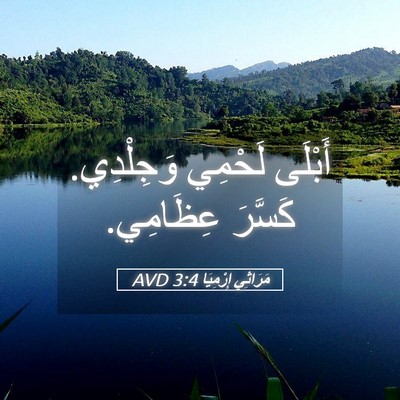 Picture 05 - مَرَاثِي إِرْمِيَا 3:4 AVD - أَبْلَى لَحْمِي وَجِلْدِي. - Bible Verse Picture