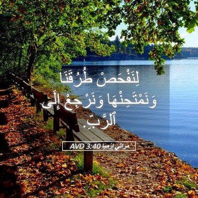 Picture 05 - مَرَاثِي إِرْمِيَا 3:40 AVD - لِنَفْحَصْ طُرُقَنَا - Bible Verse Picture