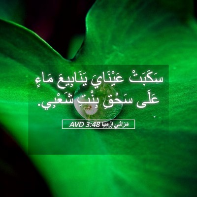 Picture 05 - مَرَاثِي إِرْمِيَا 3:48 AVD - سَكَبَتْ عَيْنَايَ - Bible Verse Picture
