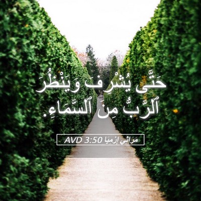 Picture 05 - مَرَاثِي إِرْمِيَا 3:50 AVD - حَتَّى يُشْرِفَ - Bible Verse Picture
