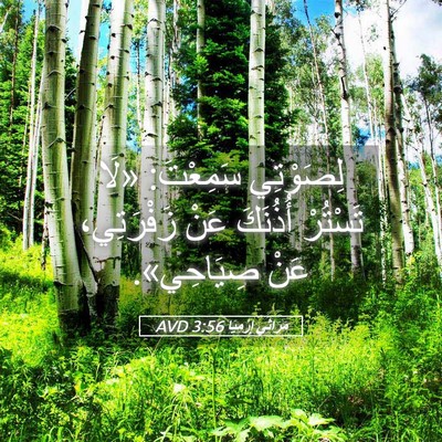 Picture 05 - مَرَاثِي إِرْمِيَا 3:56 AVD - لِصَوْتِي سَمِعْتَ: «لَا - Bible Verse Picture
