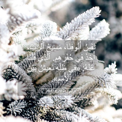 Picture 05 - مَرَاثِي إِرْمِيَا 4:20 AVD - نَفَسُ أُنُوفِنَا، - Bible Verse Picture