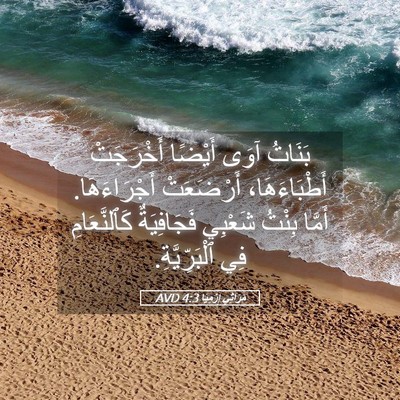 Picture 05 - مَرَاثِي إِرْمِيَا 4:3 AVD - بَنَاتُ آوَى أَيْضًا - Bible Verse Picture