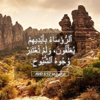 Picture 05 - مَرَاثِي إِرْمِيَا 5:12 AVD - ٱلرُّؤَسَاءُ - Bible Verse Picture