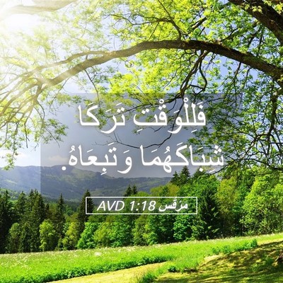 Picture 05 - مَرْقُس 1:18 AVD - فَلِلْوَقْتِ تَرَكَا - Bible Verse Picture