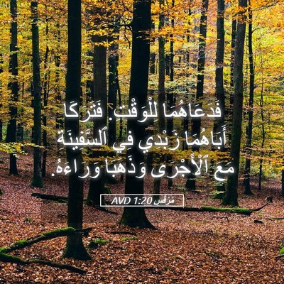 Picture 05 - مَرْقُس 1:20 AVD - فَدَعَاهُمَا لِلْوَقْتِ. - Bible Verse Picture