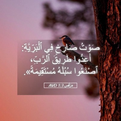 Picture 05 - مَرْقُس 1:3 AVD - صَوْتُ صَارِخٍ فِي - Bible Verse Picture