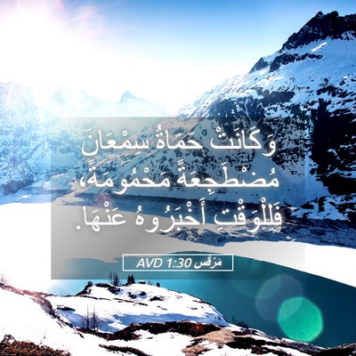 Picture 05 - مَرْقُس 1:30 AVD - وَكَانَتْ حَمَاةُ - Bible Verse Picture