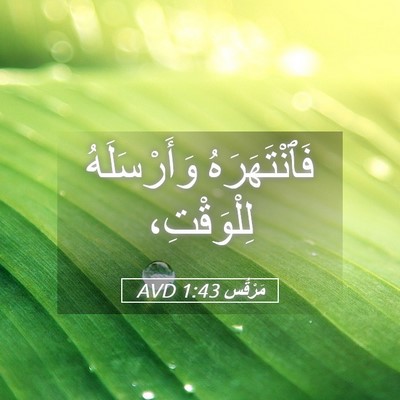 Picture 05 - مَرْقُس 1:43 AVD - فَٱنْتَهَرَهُ - Bible Verse Picture