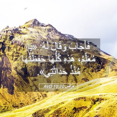 Picture 05 - مَرْقُس 10:20 AVD - فَأَجَابَ وَقَالَ لَهُ: - Bible Verse Picture