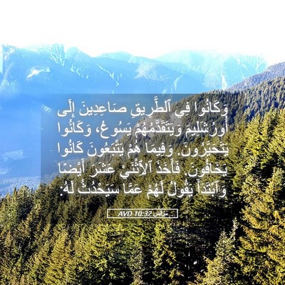 Picture 05 - مَرْقُس 10:32 AVD - وَكَانُوا فِي ٱلطَّرِيقِ - Bible Verse Picture