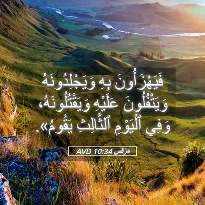 Picture 05 - مَرْقُس 10:34 AVD - فَيَهْزَأُونَ بِهِ - Bible Verse Picture