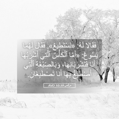 Picture 05 - مَرْقُس 10:39 AVD - فَقَالَا لَهُ: - Bible Verse Picture