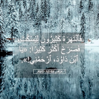 Picture 05 - مَرْقُس 10:48 AVD - فَٱنْتَهَرَهُ كَثِيرُونَ - Bible Verse Picture