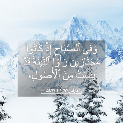 Picture 05 - مَرْقُس 11:20 AVD - وَفِي ٱلصَّبَاحِ إِذْ - Bible Verse Picture