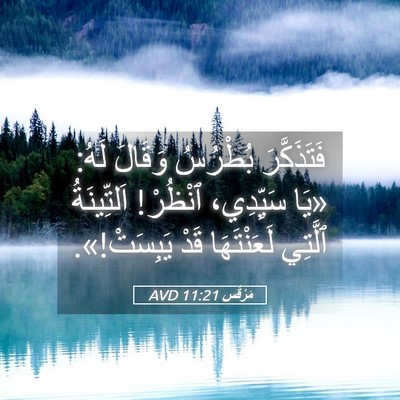 Picture 05 - مَرْقُس 11:21 AVD - فَتَذَكَّرَ بُطْرُسُ - Bible Verse Picture