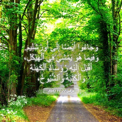 Picture 05 - مَرْقُس 11:27 AVD - وَجَاءُوا أَيْضًا إِلَى - Bible Verse Picture