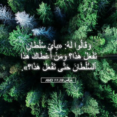 Picture 05 - مَرْقُس 11:28 AVD - وَقَالُوا لَهُ: «بِأَيِّ - Bible Verse Picture