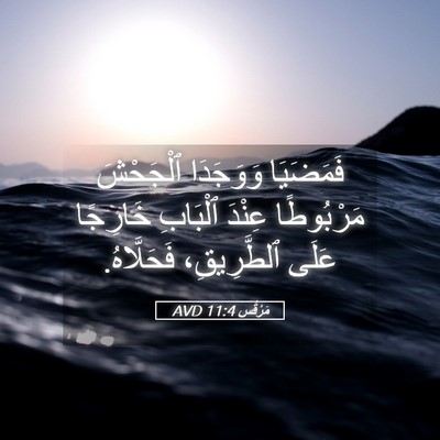 Picture 05 - مَرْقُس 11:4 AVD - فَمَضَيَا وَوَجَدَا - Bible Verse Picture