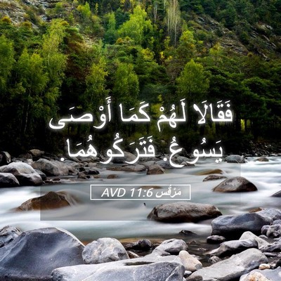 Picture 05 - مَرْقُس 11:6 AVD - فَقَالَا لَهُمْ كَمَا - Bible Verse Picture