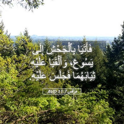 Picture 05 - مَرْقُس 11:7 AVD - فَأَتَيَا بِٱلْجَحْشِ - Bible Verse Picture