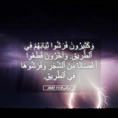 Picture 05 - مَرْقُس 11:8 AVD - وَكَثِيرُونَ فَرَشُوا - Bible Verse Picture