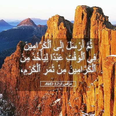 Picture 05 - مَرْقُس 12:2 AVD - ثُمَّ أَرْسَلَ إِلَى - Bible Verse Picture