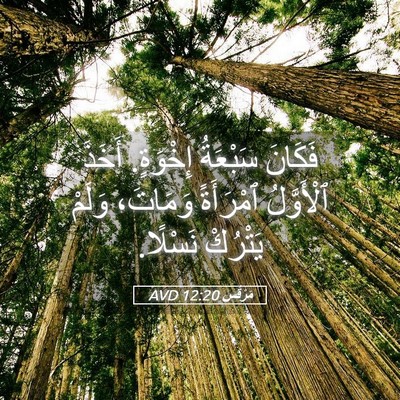 Picture 05 - مَرْقُس 12:20 AVD - فَكَانَ سَبْعَةُ إِخْوَةٍ. - Bible Verse Picture