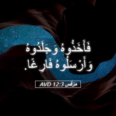 Picture 05 - مَرْقُس 12:3 AVD - فَأَخَذُوهُ وَجَلَدُوهُ - Bible Verse Picture