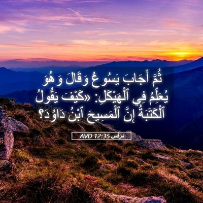 Picture 05 - مَرْقُس 12:35 AVD - ثُمَّ أَجَابَ يَسُوعُ - Bible Verse Picture